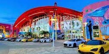 International Dr Orlando