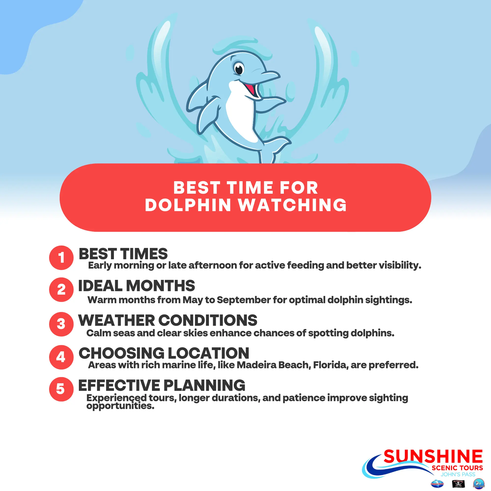 Best Time for Dolphin Watching | SST