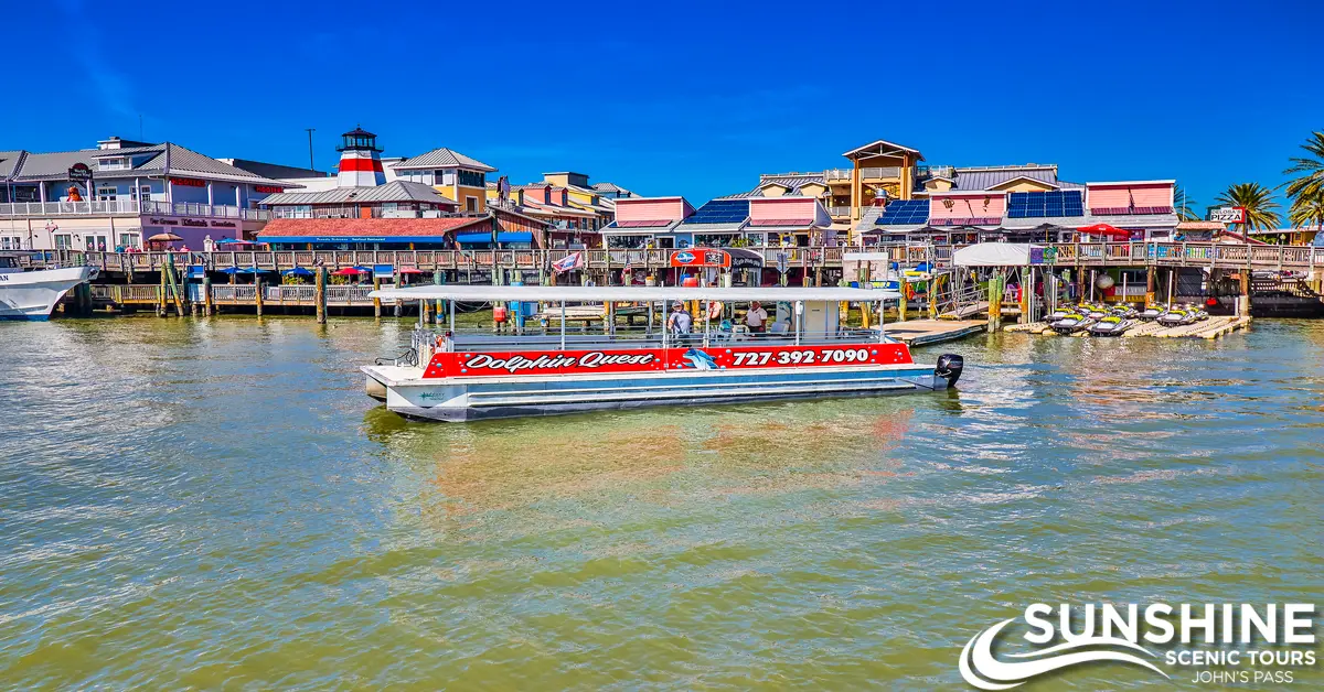 Dolphin Quest Boat Tour | SST
