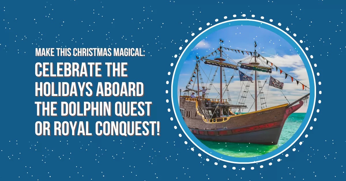 Make This Christmas Magical Celebrate the Holidays Aboard the Dolphin Quest or Royal Conquest