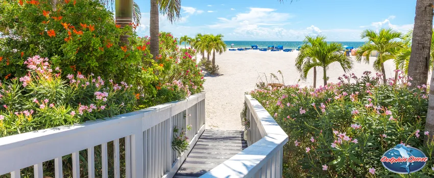 SST - A white wooden boardwalk near St. Pete Beach 