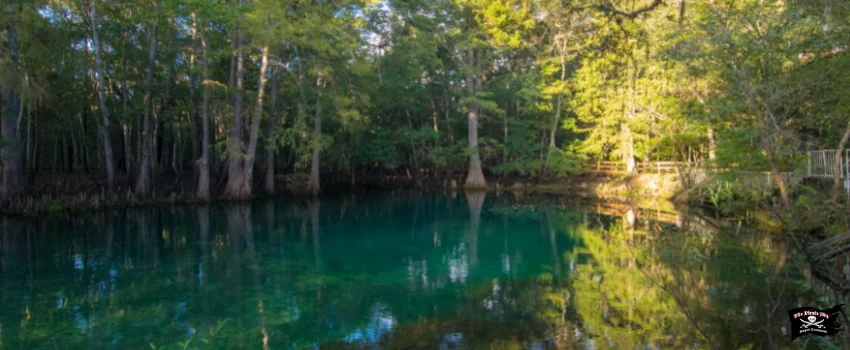 SST-Manatee Springs State Park