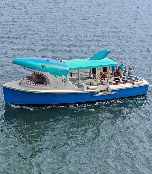 SST SB Cruise on Sea