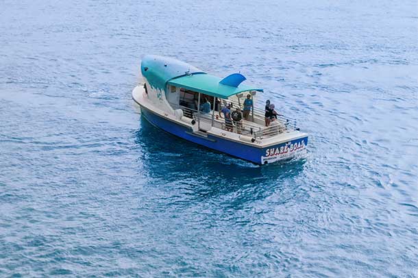 SST SB Cruise on water