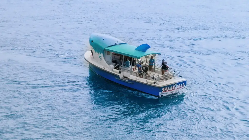 Shark Boat