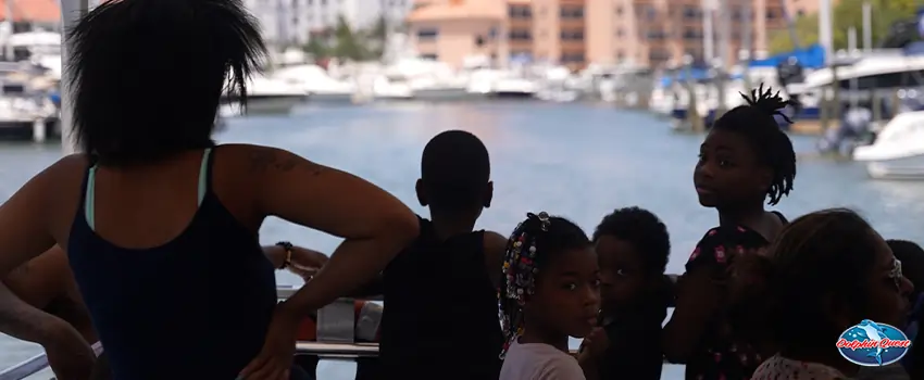 The Benefits and Future of Dolphin Watching