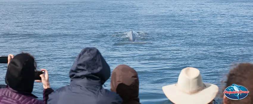 Why Host Your Next Class Reunion at St. Pete Beach