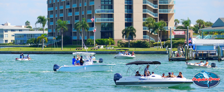 The Best of St. Pete